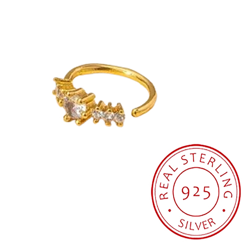 Yellow Body Jewelry - Basit Tek Sıra Geometrik S925 Gümüş